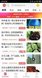 中越在线2