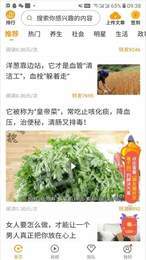 中越在线3