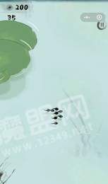 墨虾探蝌海草隐藏模式1