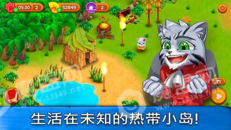 猫咪漂流记2