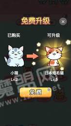 天天撸猫猫手游2