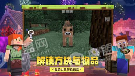 我的世界1.16.0.57基岩版1