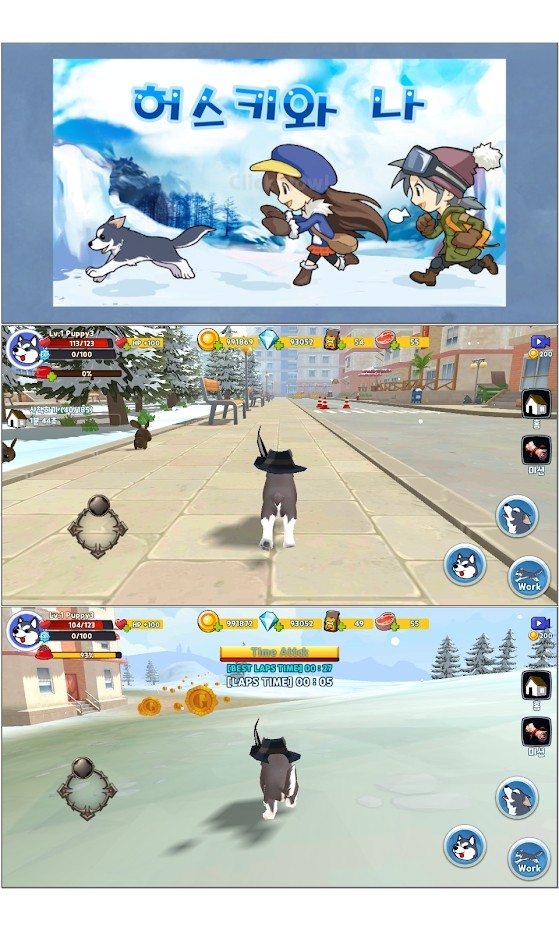 哈斯基和我3