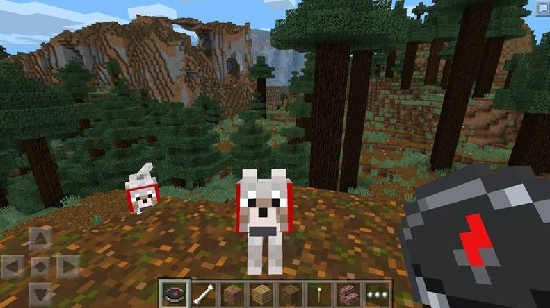 我的世界 1.16.0.57版2