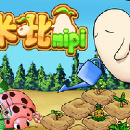 米吡mipi