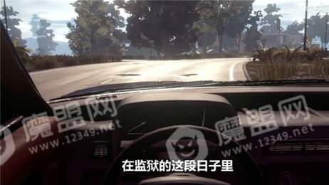 出狱网红模拟器3