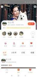 它家2