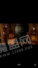752号精神病人中文版1