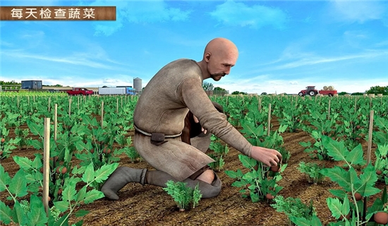 现代农业21