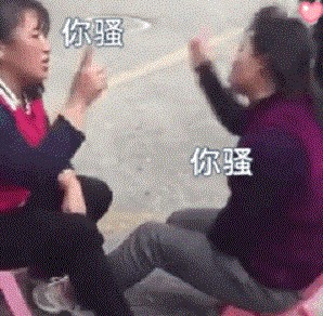 大妈吵架表情包gif动态图片高清无水印完整版3