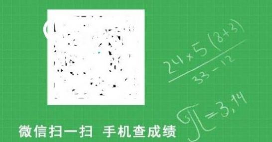 2020输入考号查成绩的软件网站2
