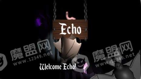 回声蝙蝠1