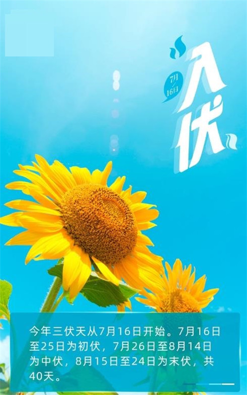 2020入伏文案朋友圈图片完整版2