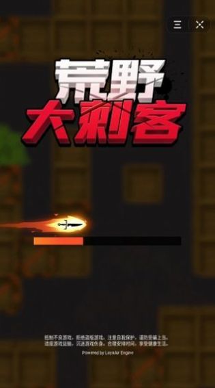 荒野大刺客游戏2