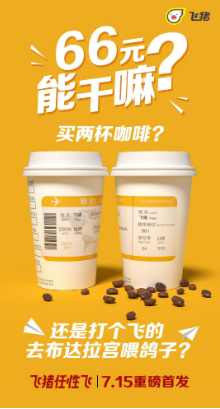 飞猪66元任性飞app1