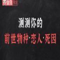 抖音测测你的前世物种恋人死因入口手机版