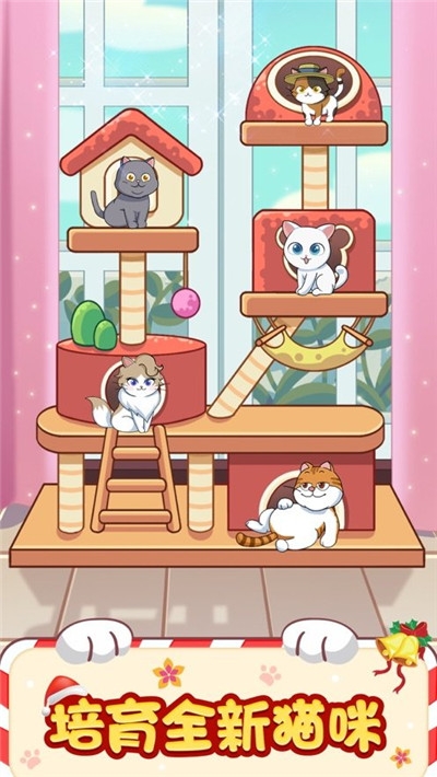 猫咪小家红包版3