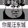 你打火影像汪东城表情包图片完整版免费分享