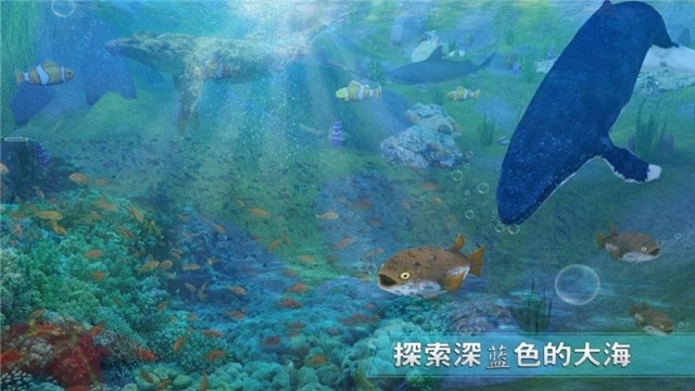 全民养鲨鱼红包版1