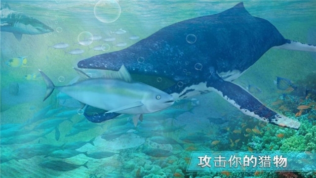 全民养鲨鱼红包版2