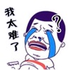 女生太难了游戏最新版