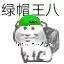 抖音王八表情包全套原图无水印1