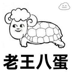 抖音王八表情包全套原图无水印3