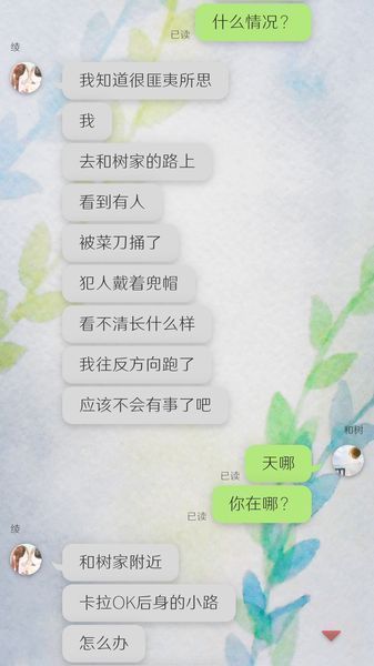 我的女友在被人追赶游戏3