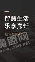 金帝智厨3