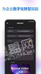 大鹅视频1