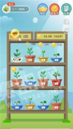 阳光金屋3