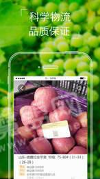 本来果坊app1