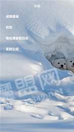 辽大+2