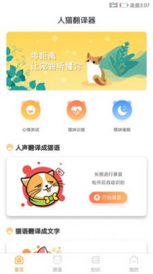 抖音爆火的猫咪情绪识别安卓版1