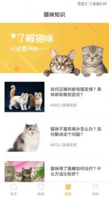 抖音爆火的猫咪情绪识别安卓版3