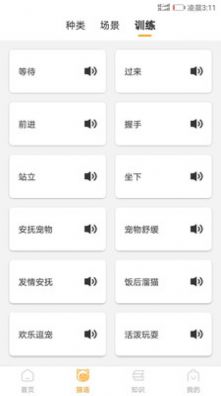 抖音爆火的猫咪情绪识别安卓版4