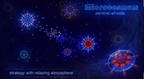 microcosmum汉化1