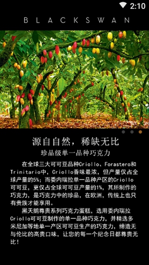 黑天鹅外卖安卓版3