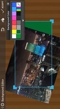 动画本最新版1