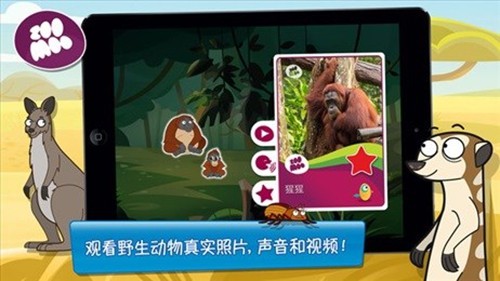 动物好伙伴20243
