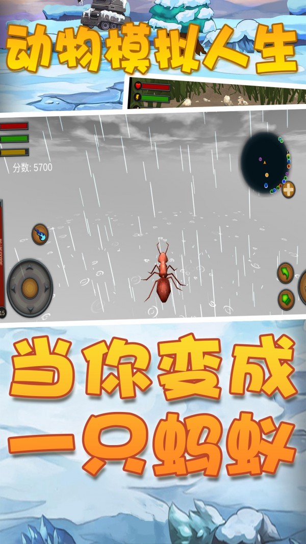 动物模拟人生安卓版1