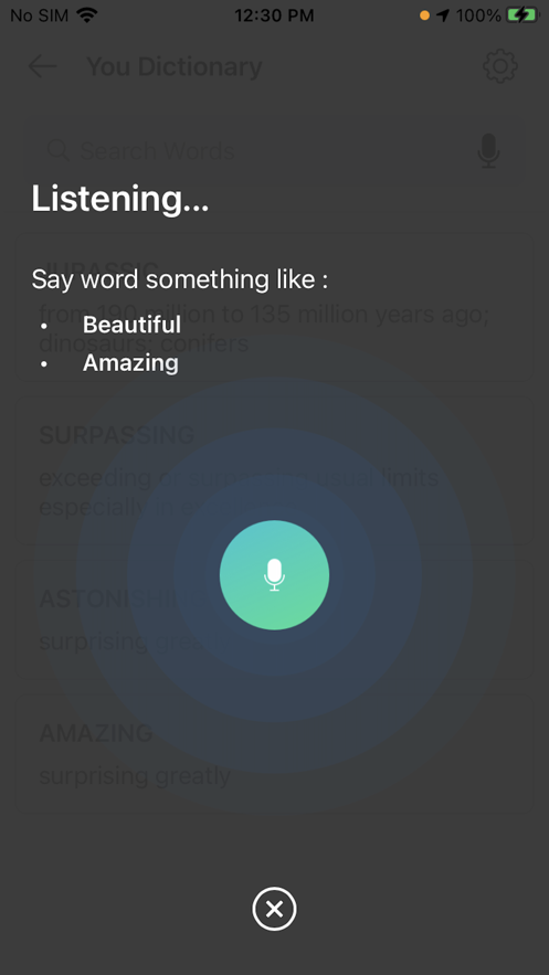 youdictionary最新版4