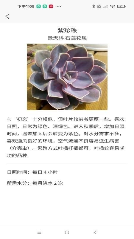 嘟嘟多肉植物鉴app2