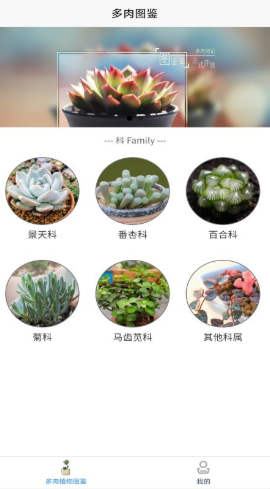 嘟嘟多肉植物鉴安卓版1