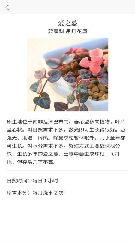 嘟嘟多肉植物鉴安卓版3