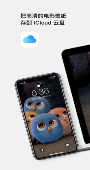 Movy高清壁纸app3
