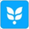 度小麦官网app