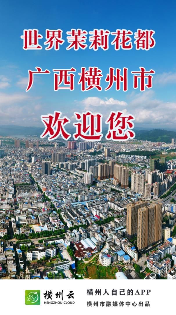 横州云客户端3