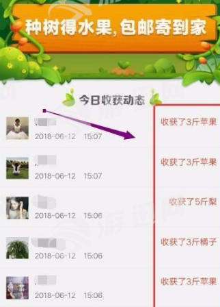 多多果园拼多多（拼多多）3