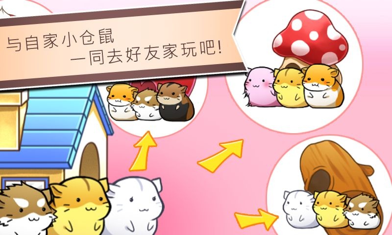 仓鼠的日常游戏混合新的仓鼠3